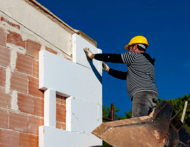  Mission, TX Insulation Contractor Pros